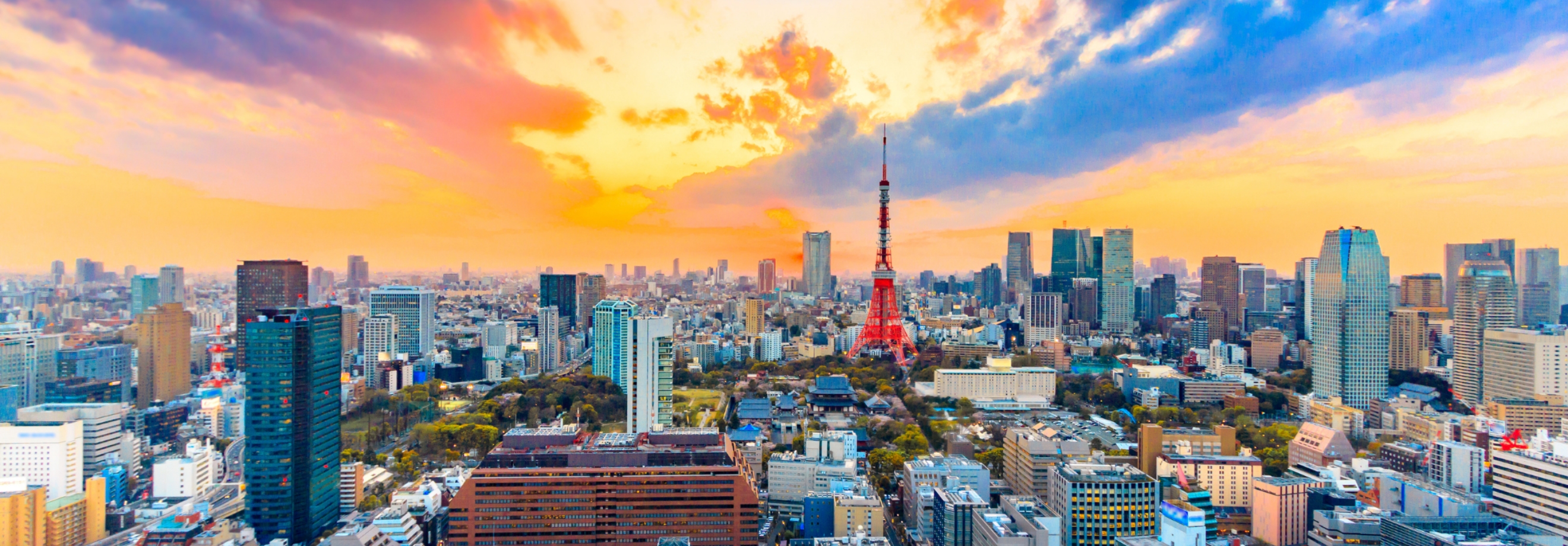 ビジョンメインビュー